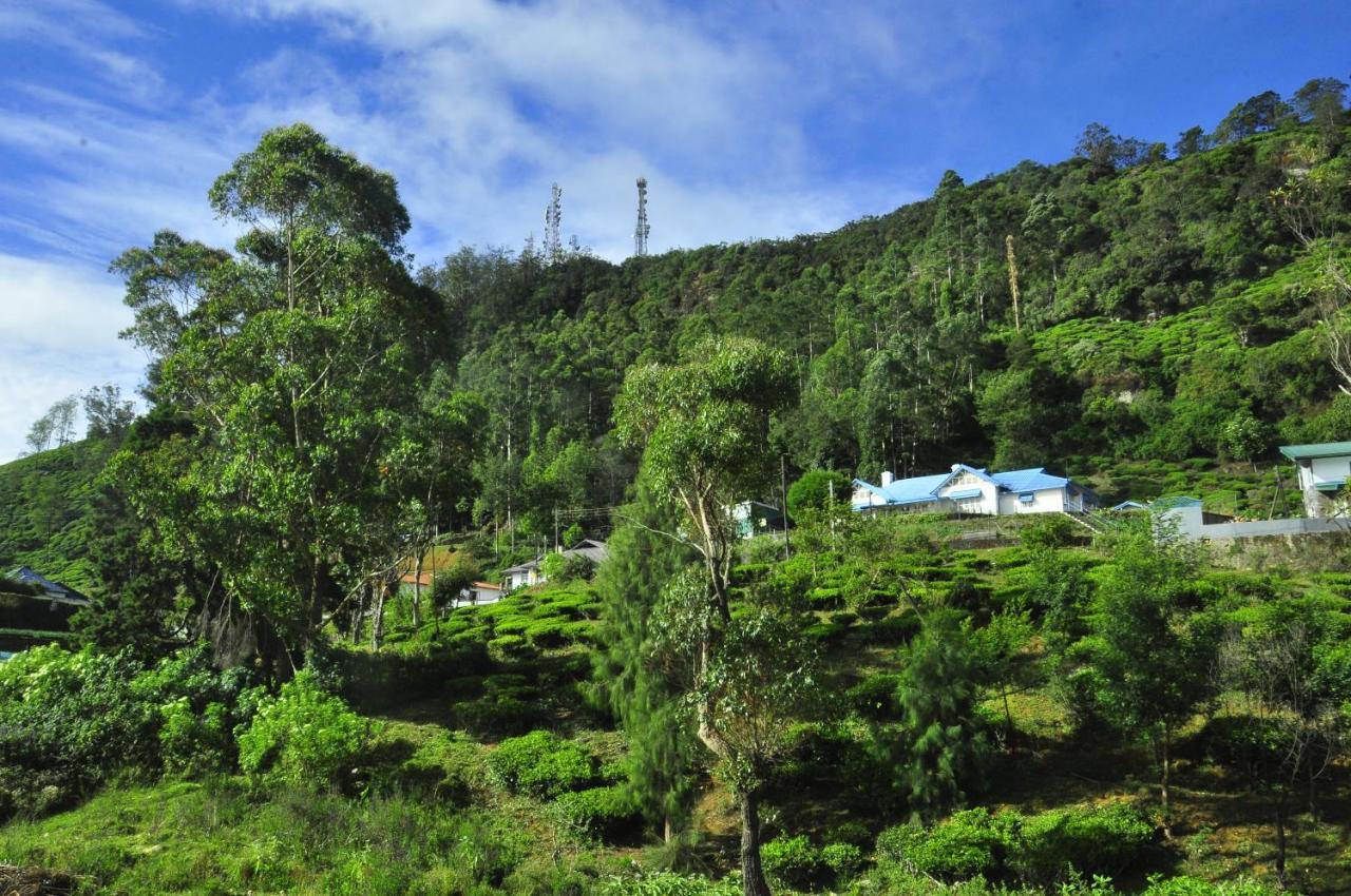 Summer Glow Guest - Nuwara Eliya Luaran gambar